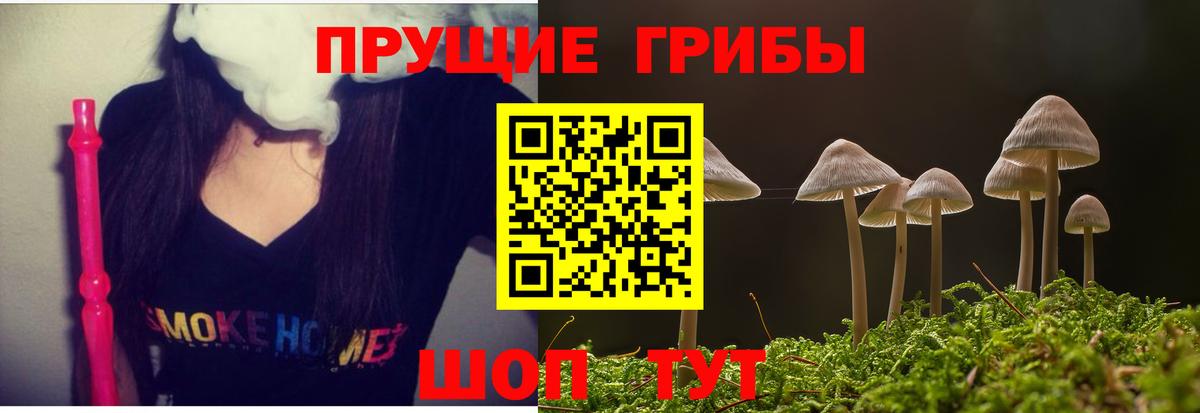 Псилоцибиновые грибы прущие грибы Ялта